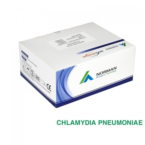 Chlamydia Pneumoniae