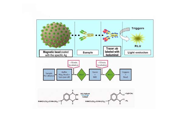 Unveiling the Precision of Chemiluminescence Immunoassay in Modern Diagnostics