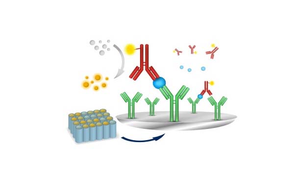 Understanding the Chemiluminescence Test: Applications and Importance