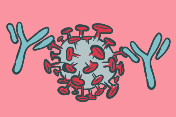 Neutralizing antibodies – the immune system's Superhero